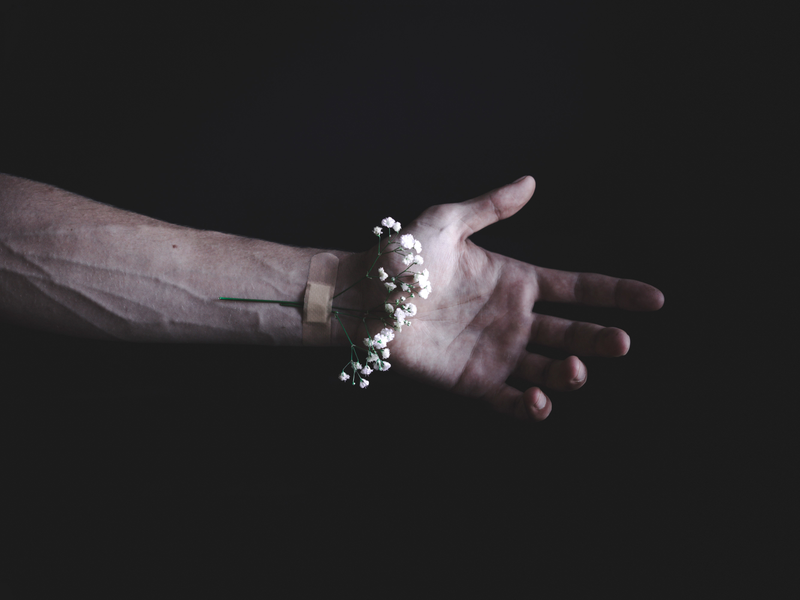 Imagen: Elijah O’Donell .